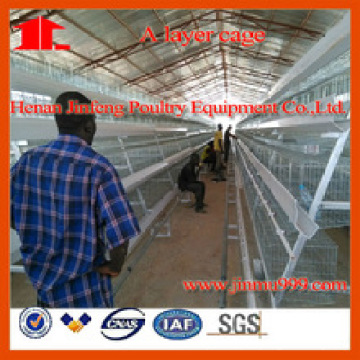 a Type Automatic Chicken Cage for Layer Chicken Farm